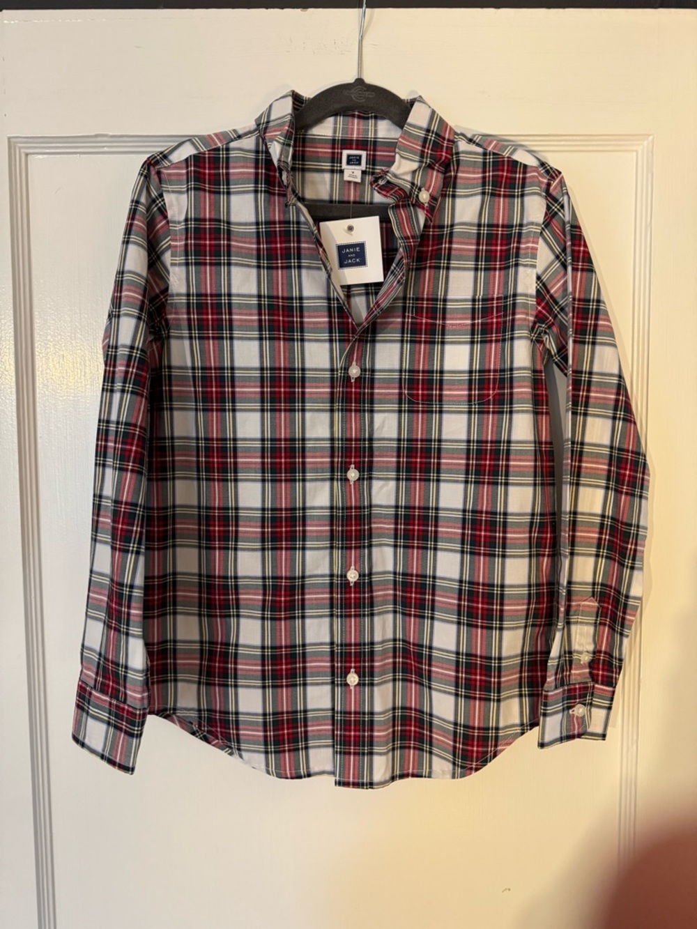 Janie and Jack Red, White & Black Plaid Cotton Button-Down Shirt